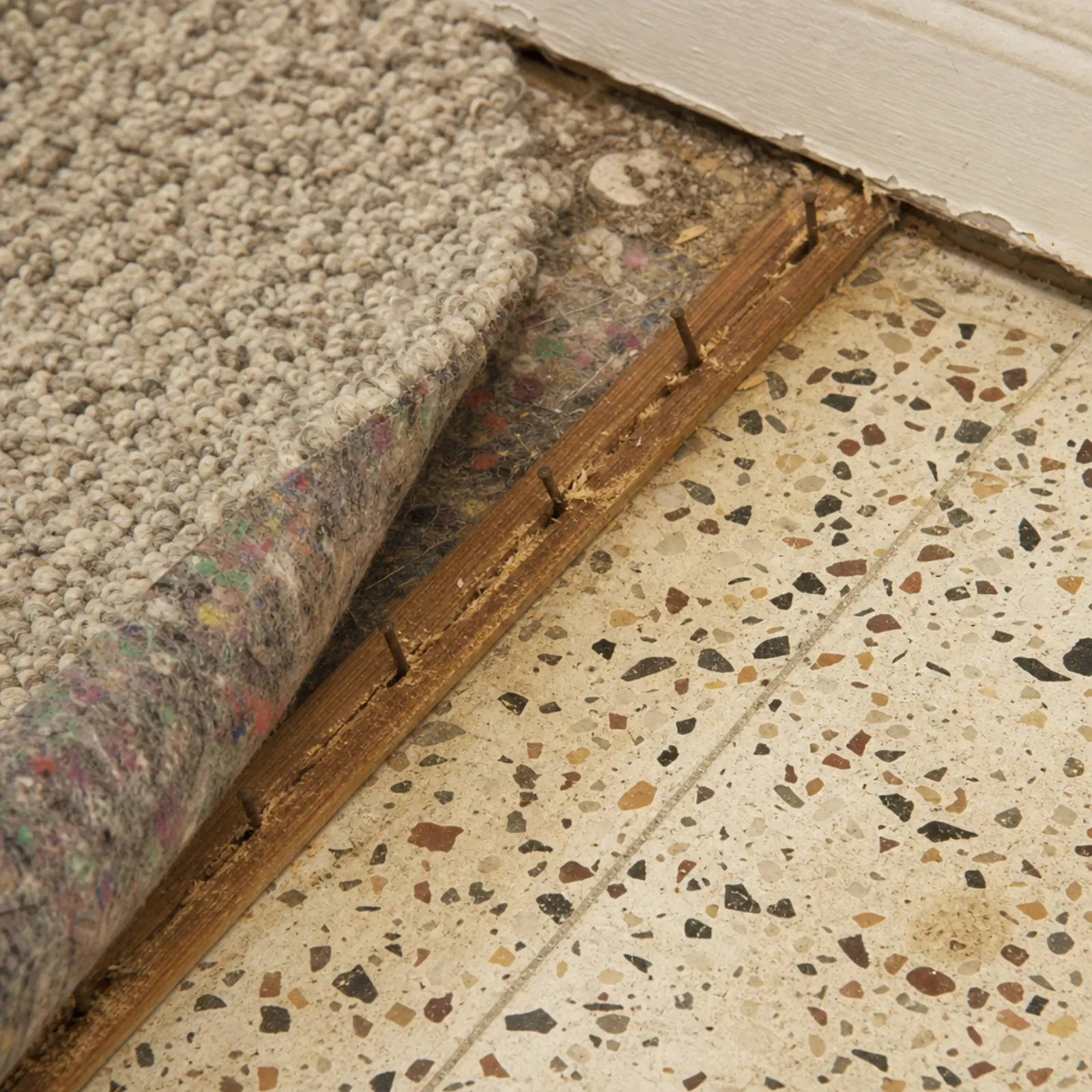 Terrazzo Grinding & Polishing in St. Petersburg, FL